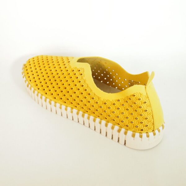 zapato-tulipa-mostaza